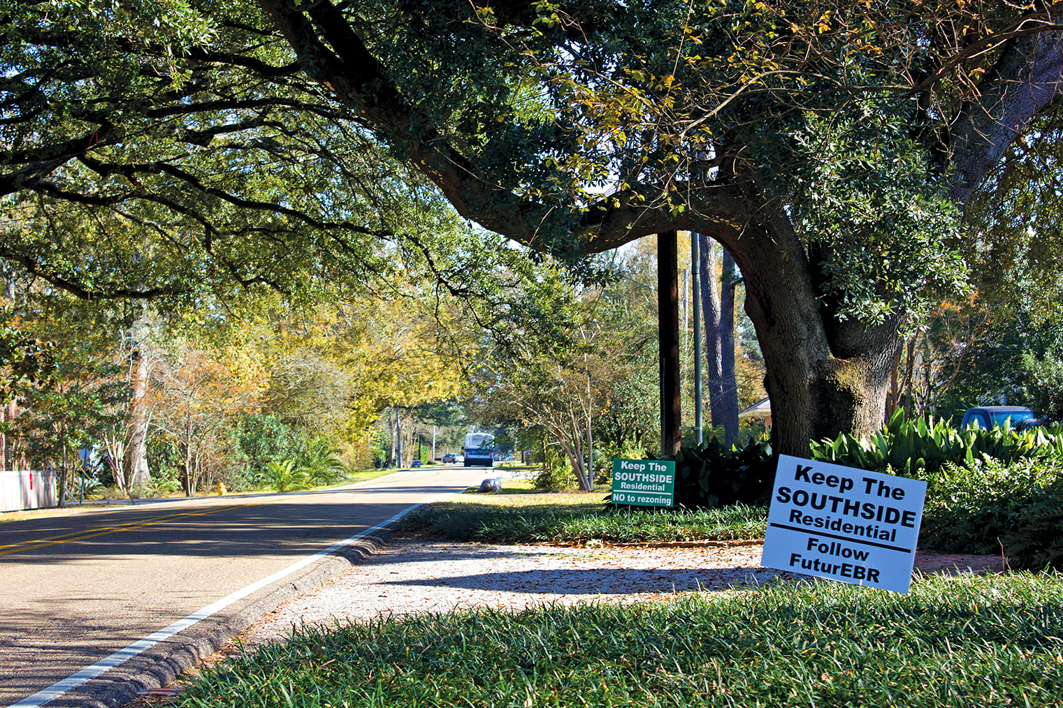 Southdowns, Baton Rouge context